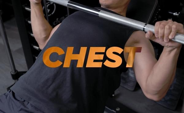 chest
